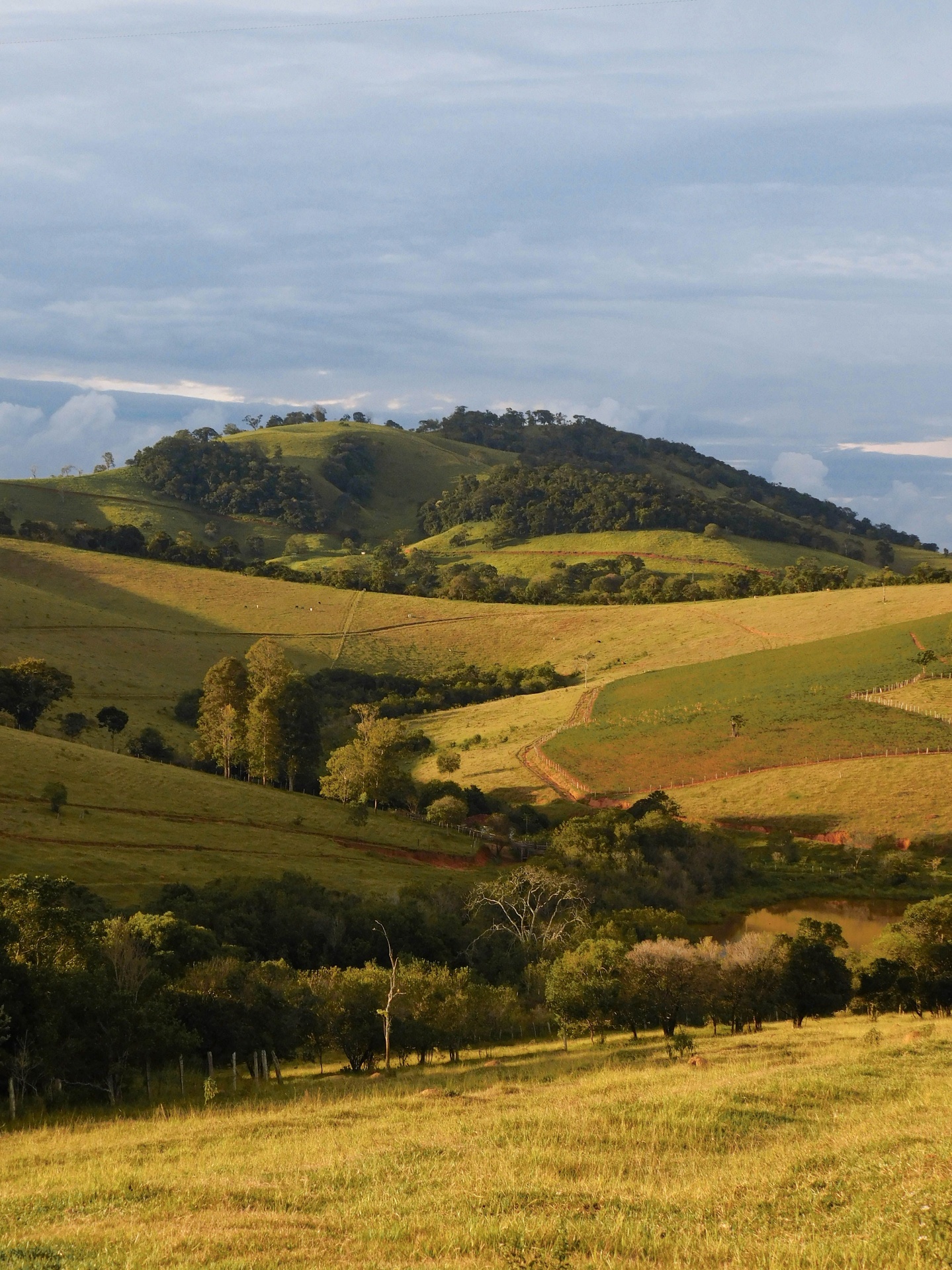 Rolling green hills at golden hour with woodland and open pasture